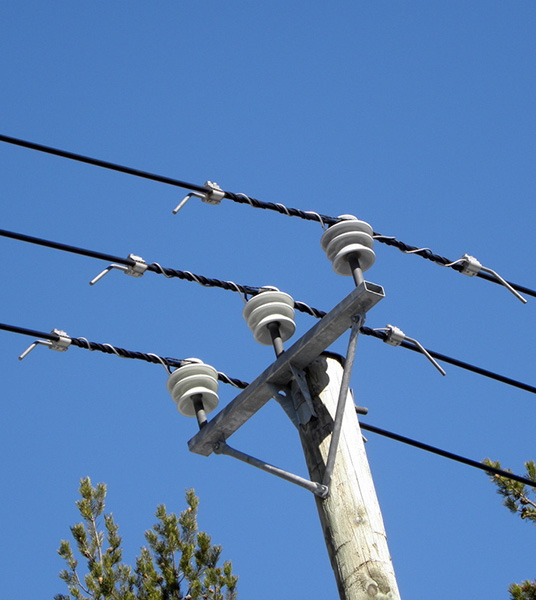 На любой вкус